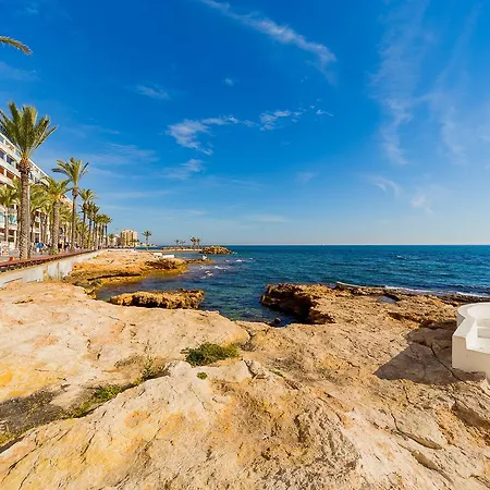 Alegria Id35 Torrevieja